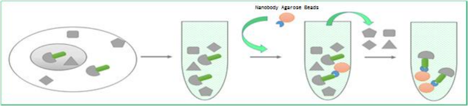 603610e3e36ee.png image.png