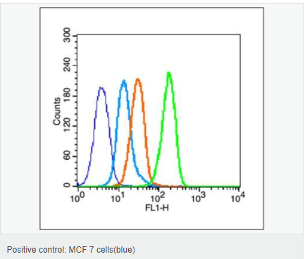 6052adc1ce28a.png image.png