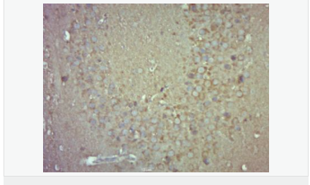 6052aebc2a508.png image.png