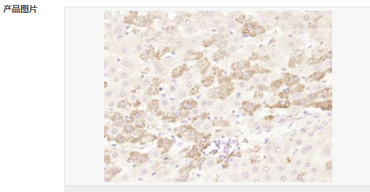 6052b6cc8f585.png image.png