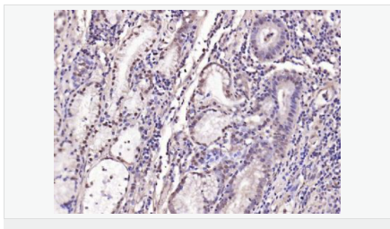 6058011333735.png image.png