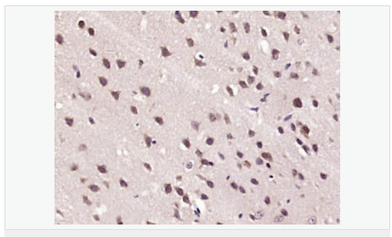 605812a9a06b6.png image.png