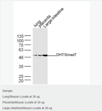 605841b739e56.png image.png