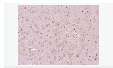 605850a6989c5.png image.png