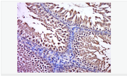 6059401f82ffd.png image.png