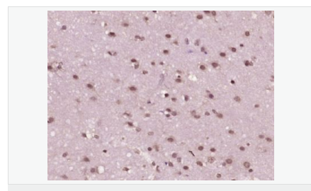 6059457b81b6f.png image.png