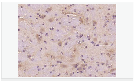 60594aab86b1c.png image.png