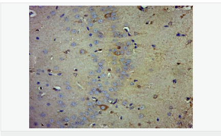 60594abf533b3.png image.png