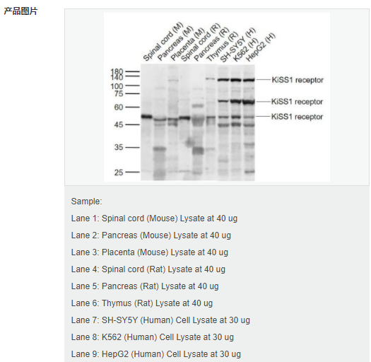 60594d676cbd1.png image.png