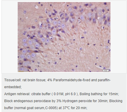 605953c9df1e8.png image.png