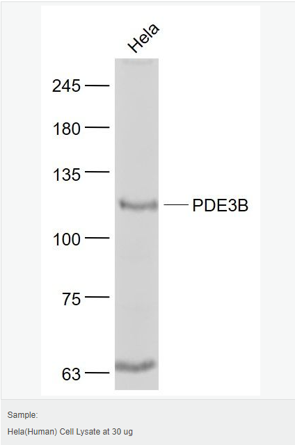 605acb7bbe1cb.png image.png