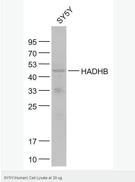 605d96b2cfc41.png image.png