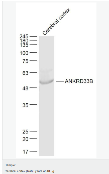 605d9fbe4813e.png image.png