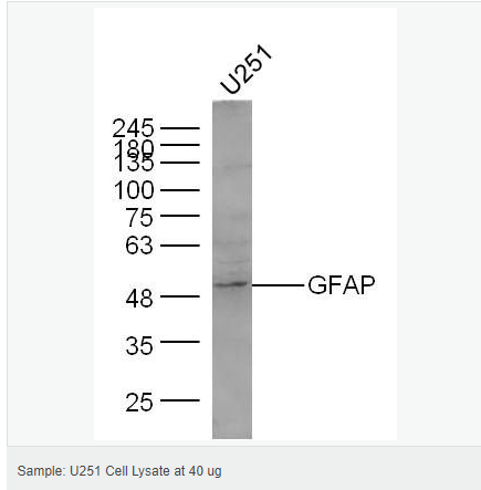 60612bdccae84.png image.png