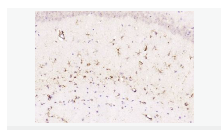 60612c0aecb44.png image.png