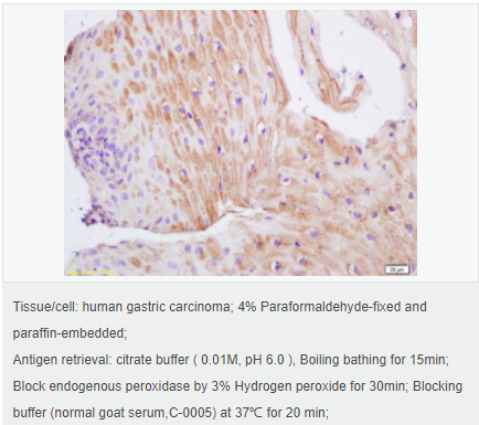 60616b7008950.png image.png