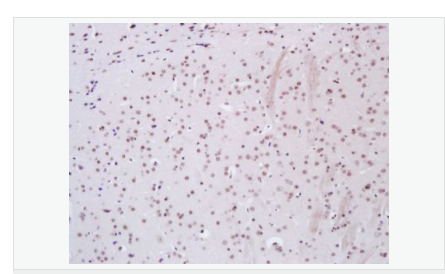 606531d99fb3f.png image.png