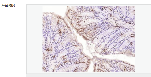 606569345e9d1.png image.png