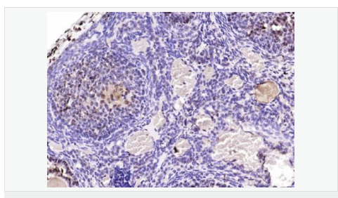 6066ba7064cfc.png image.png