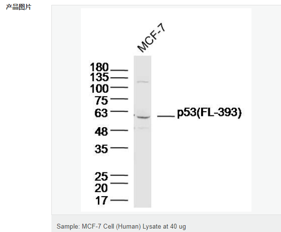 6066bc48e0127.png image.png