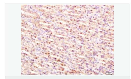 6066bca3110c9.png image.png