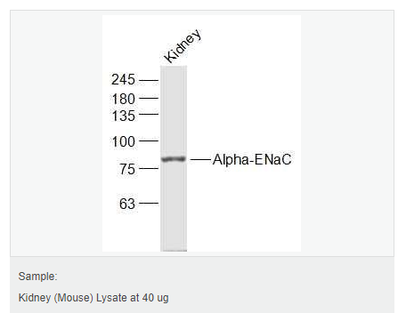 6066c5267c560.png image.png