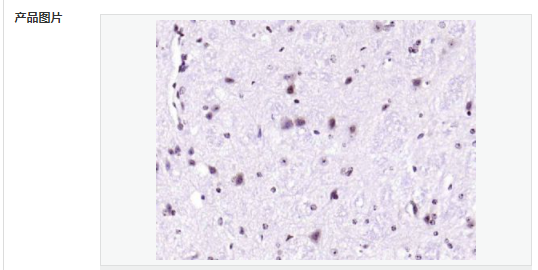 6076562561874.png image.png