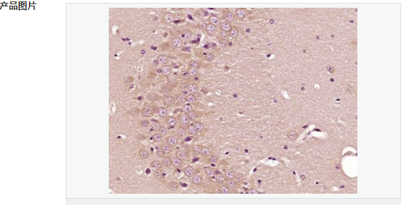 60768729af0c6.png image.png