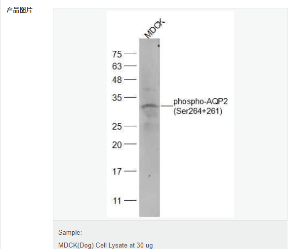 60779a733bc33.png image.png