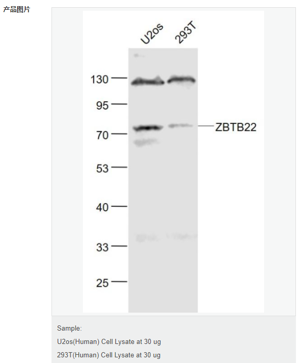 60779f0cf2821.png image.png