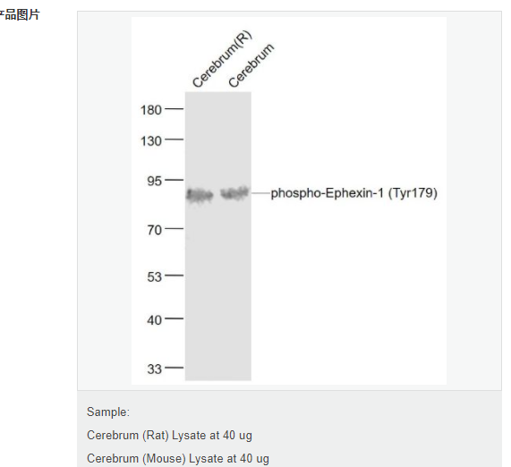 6078e0eadabe3.png image.png