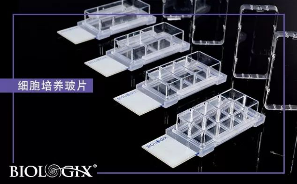 64740f0361171.png image.png